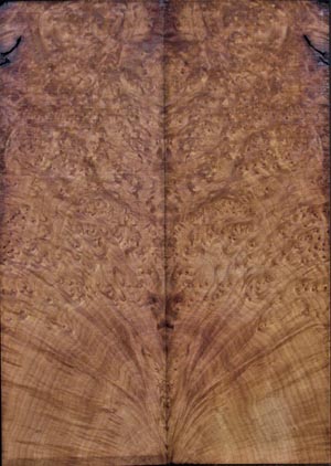 carved tops 4